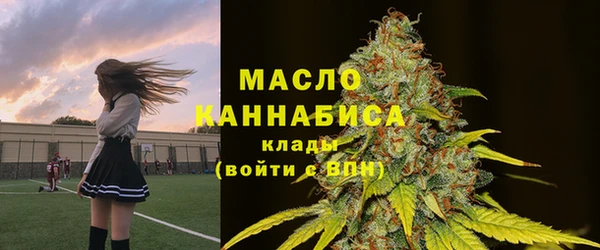 скорость Бородино