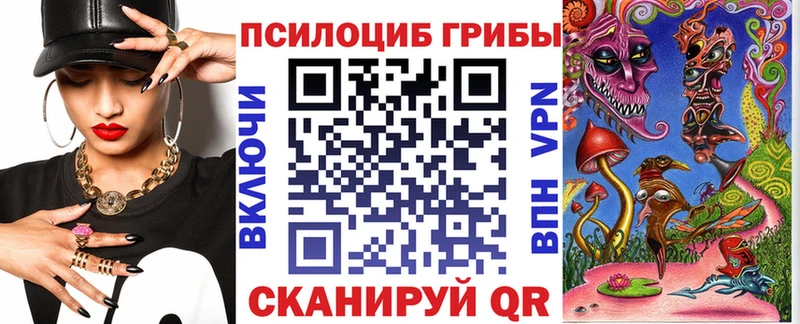 гидра как войти  Томилино  Галлюциногенные грибы Cubensis 